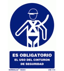 Imagen de Obligatorio el uso del cinturon de seguridad